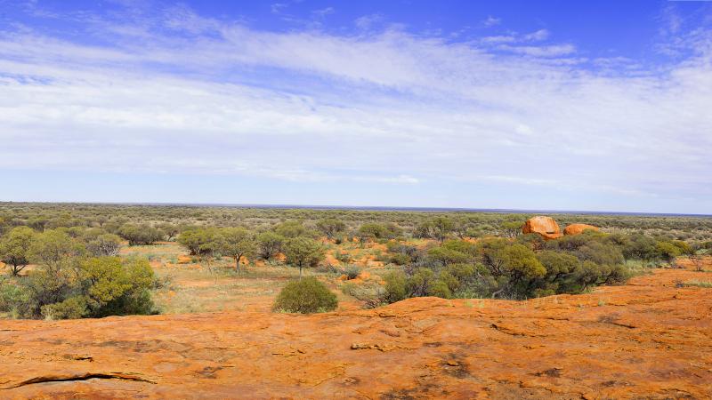 Yeelirrie Landscape