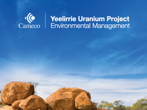 Yeelirrie Project Booklet PDF Thumbnail